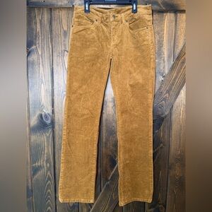 Patagonia Corduroy Organic Cotton Pants